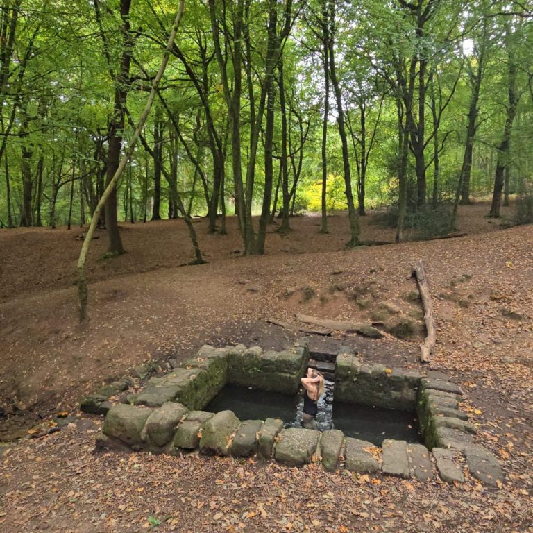 Your reality is a reflection of your inner world 